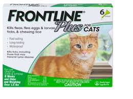 frontline for cat