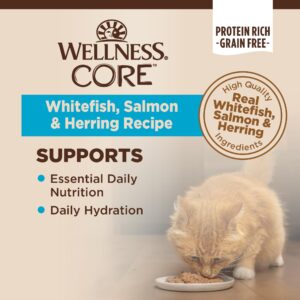 Wellness CORE Grain-Free Natural Cat Food