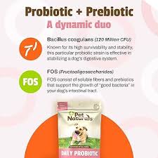 probiotic